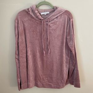 Ann Taylor Loft velour hoodie